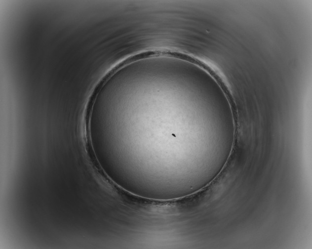X0000088830887200706141518