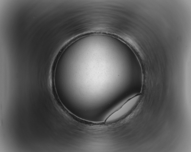 X0000088830888200706141518
