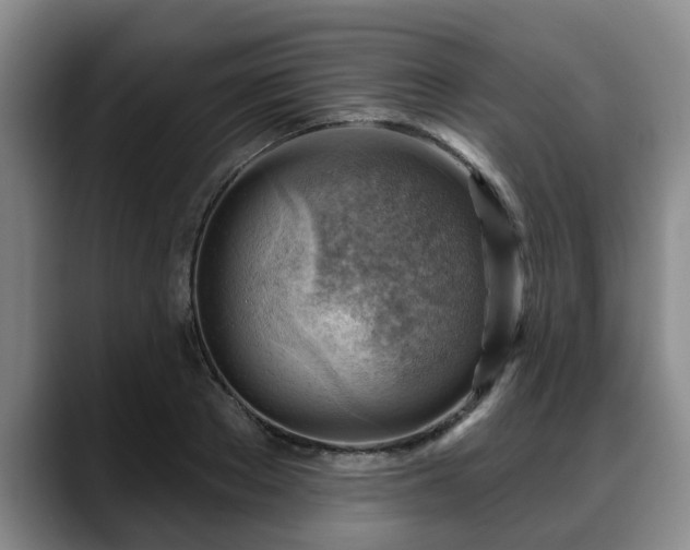 X0000088830889200706141518