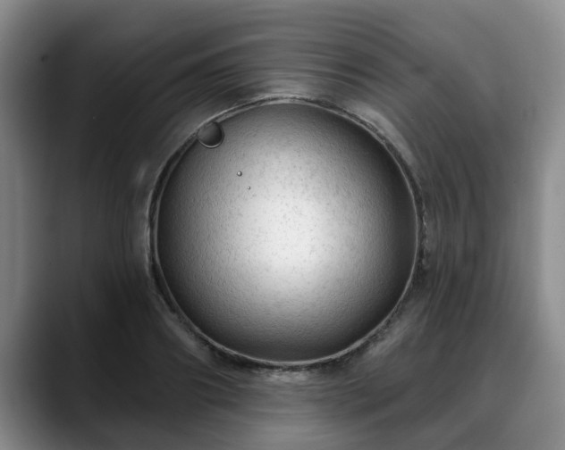 X0000088830890200706141518