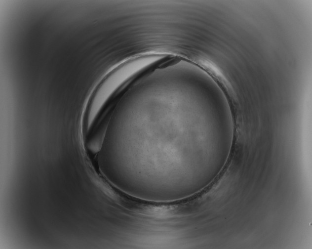 X0000088830892200706141518