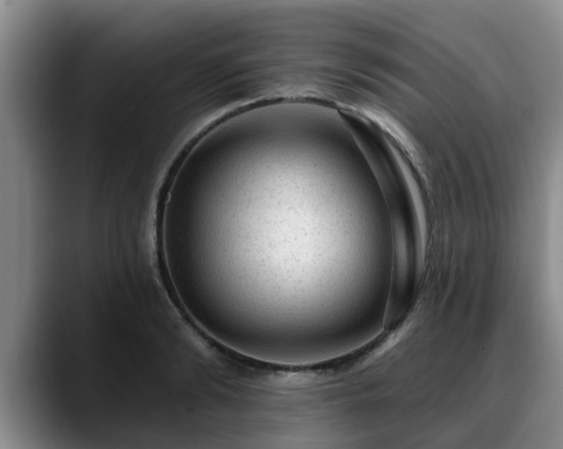 X0000088830894200706141518