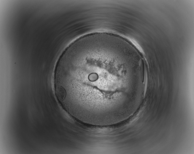 X0000088830895200706141518