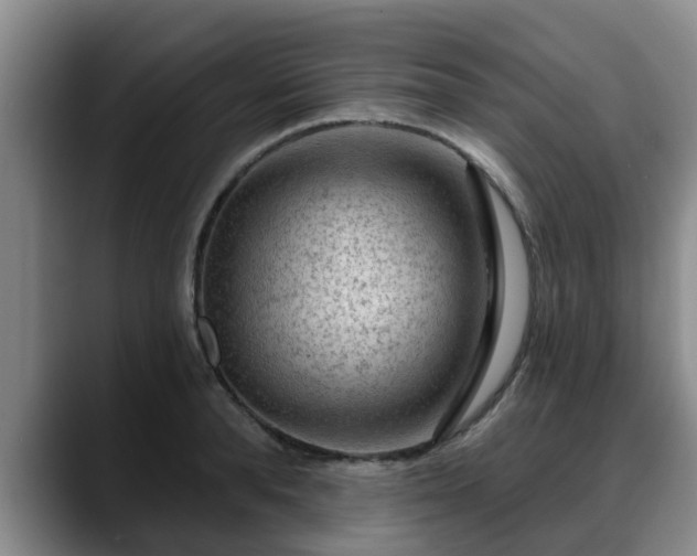 X0000088830896200706141518