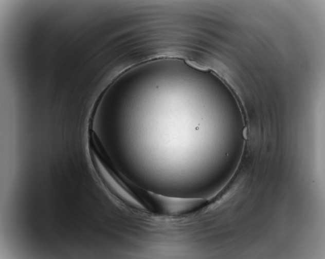 X0000088830898200706141518
