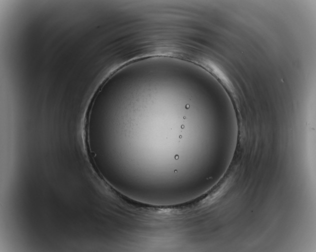 X0000088830899200706141518