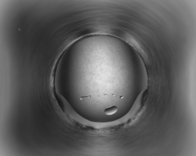 X0000088830900200706141518