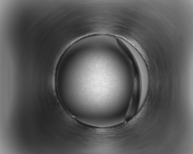 X0000088830904200706141518
