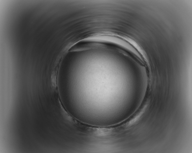 X0000088830905200706141518