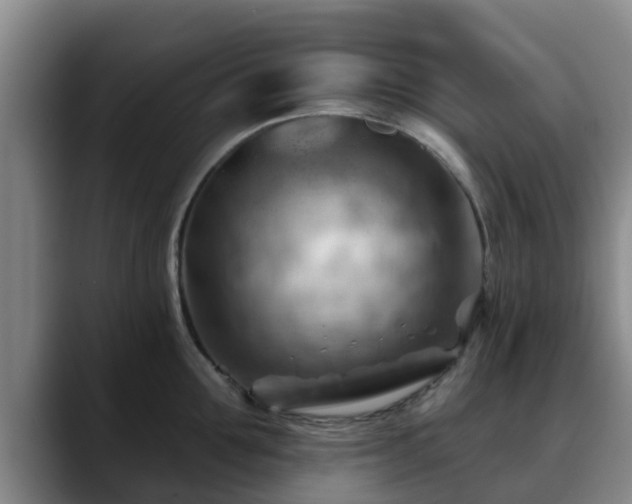 X0000088830907200706141518