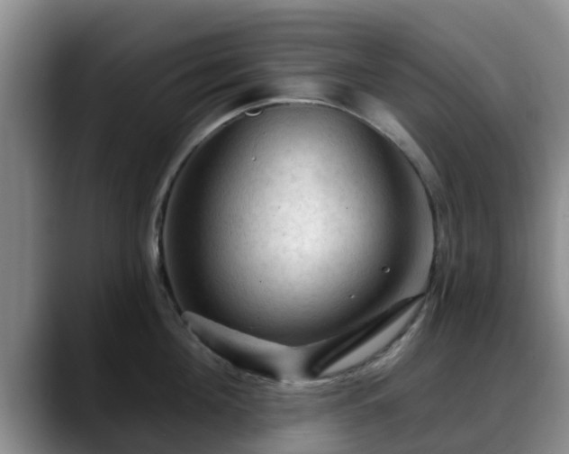 X0000088830908200706141518