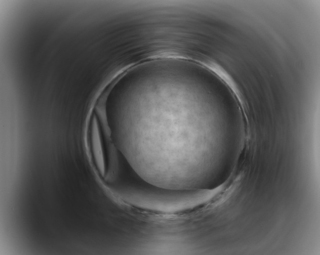X0000088830909200706141518