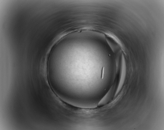 X0000088830910200706141518
