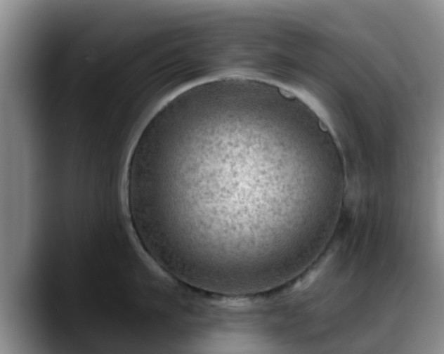 X0000088830911200706141518