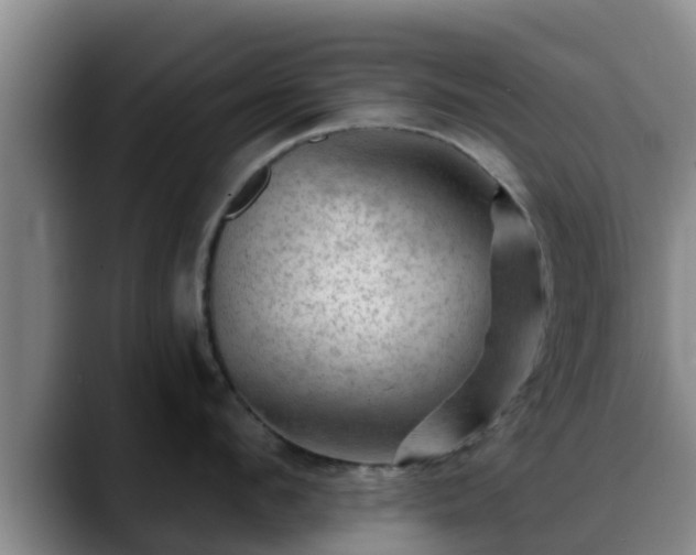X0000088830912200706141518
