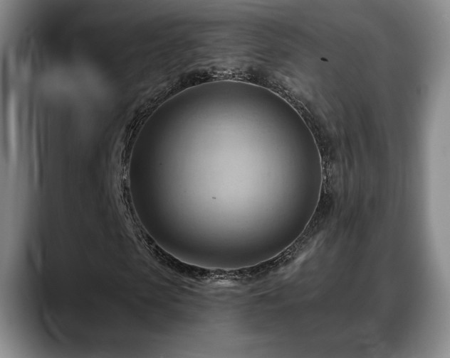 X0000088830913200706141517