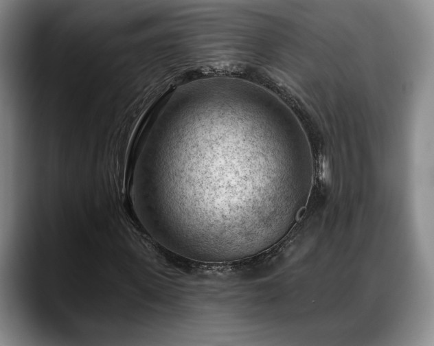 X0000088830915200706141517