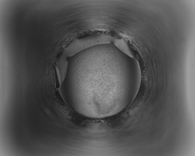 X0000088830916200706141518