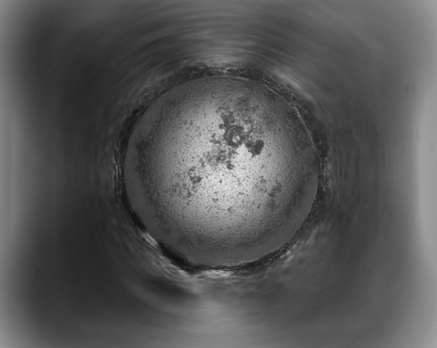 X0000088830917200706141518