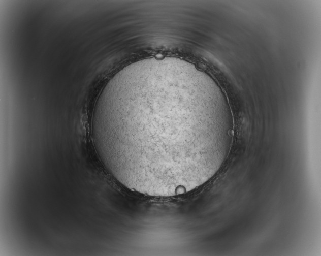 X0000088830918200706141518