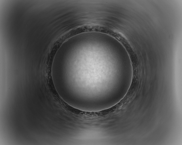 X0000088830919200706141518