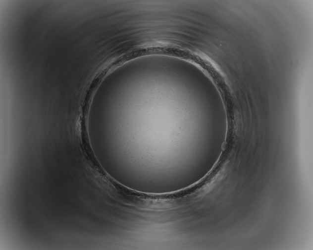 X0000088830921200706141518