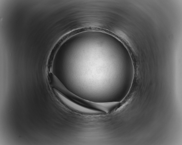 X0000088830924200706141518