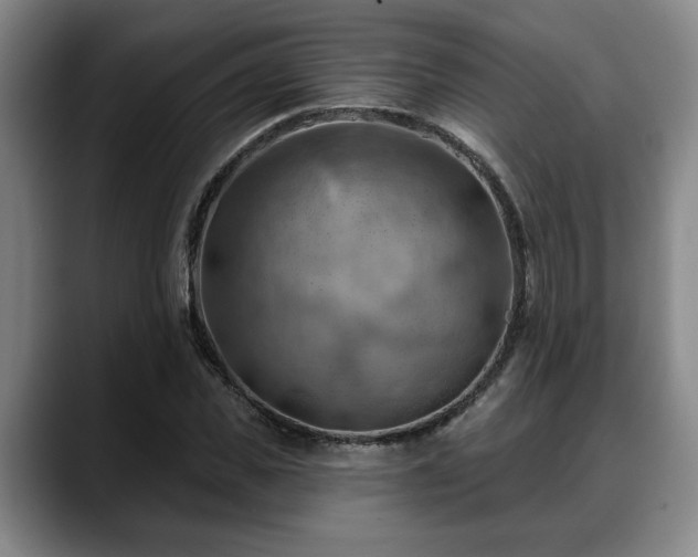 X0000088830925200706141518