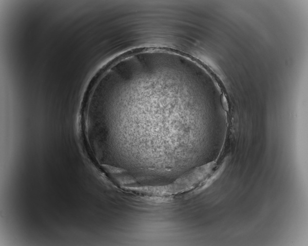 X0000088830928200706141518