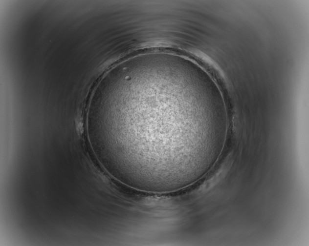 X0000088830929200706141518