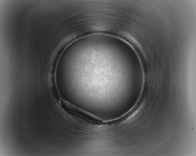 X0000088830930200706141518