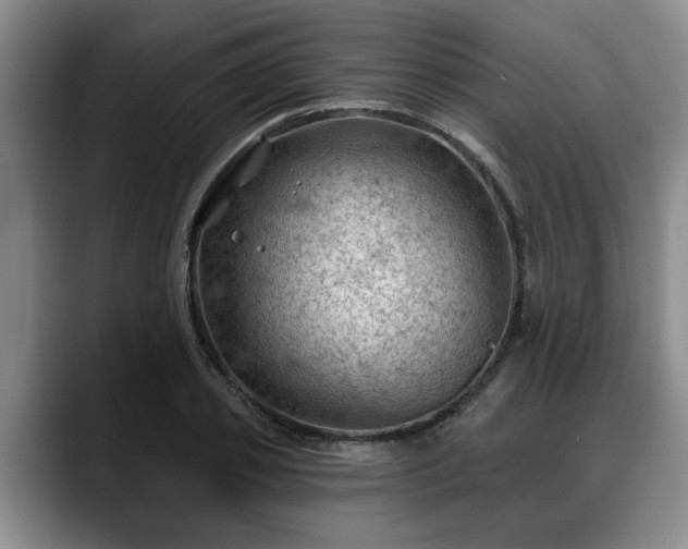 X0000088830933200706141518