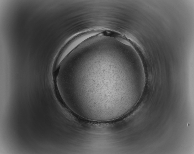 X0000088830934200706141518