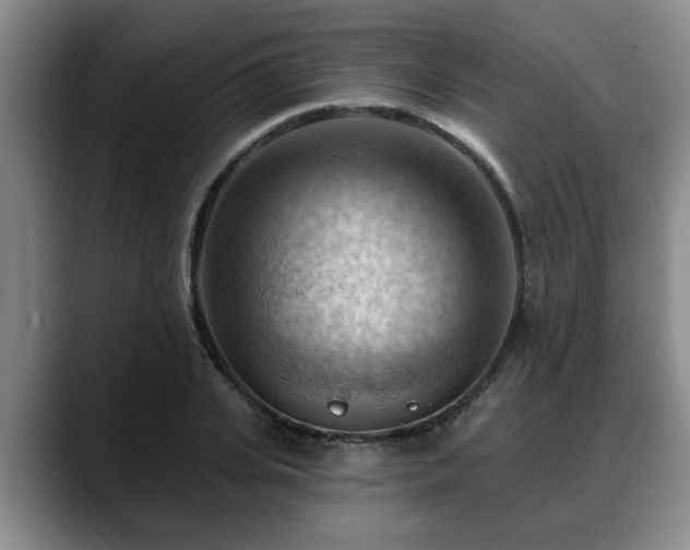 X0000088830935200706141518