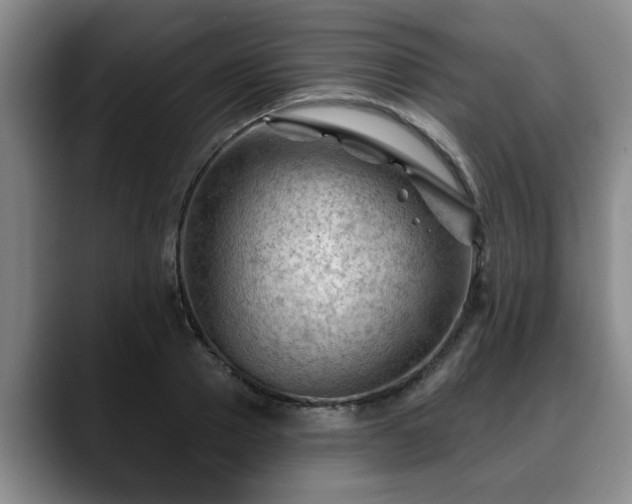 X0000088830937200706141518