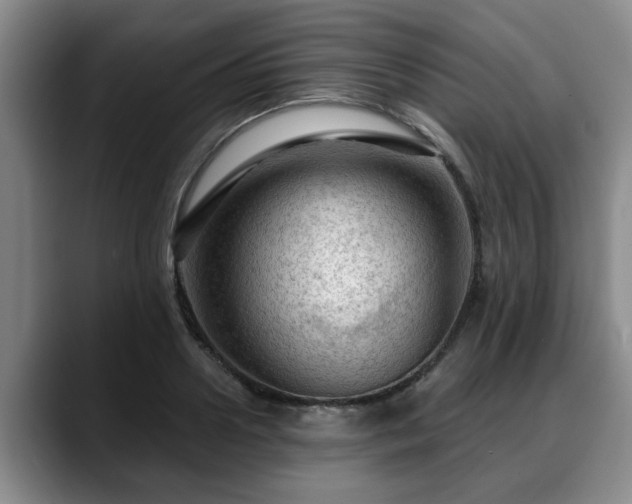 X0000088830938200706141518