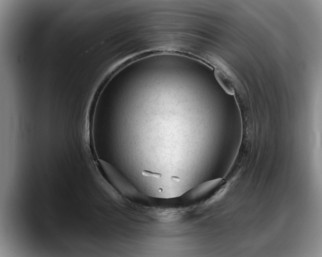 X0000088830940200706141518