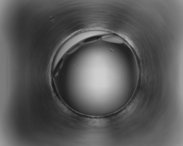 X0000088830941200706141518