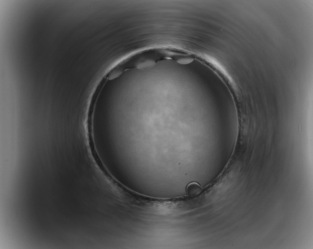 X0000088830943200706141518
