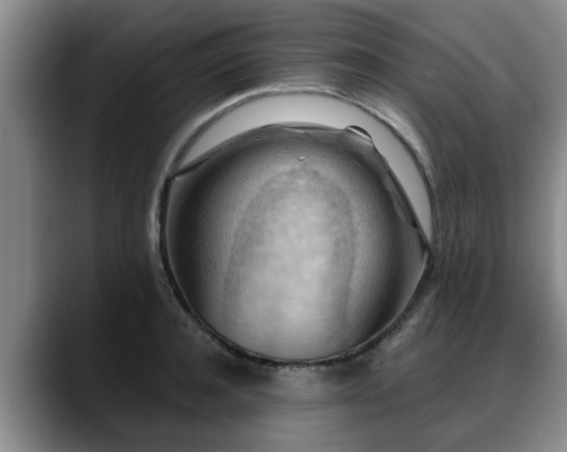 X0000088830944200706141518