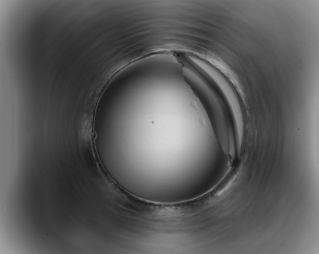 X0000088830945200706141518