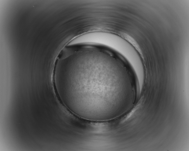 X0000088830946200706141518