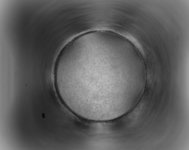 X0000088830950200706141518
