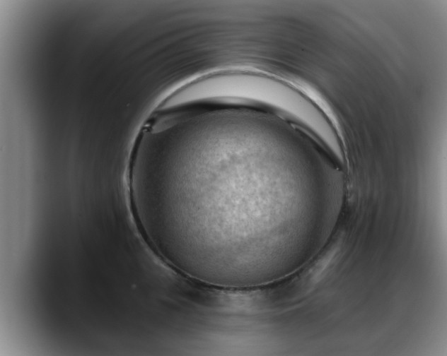 X0000088830951200706141518