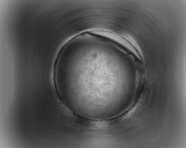 X0000088830952200706141518