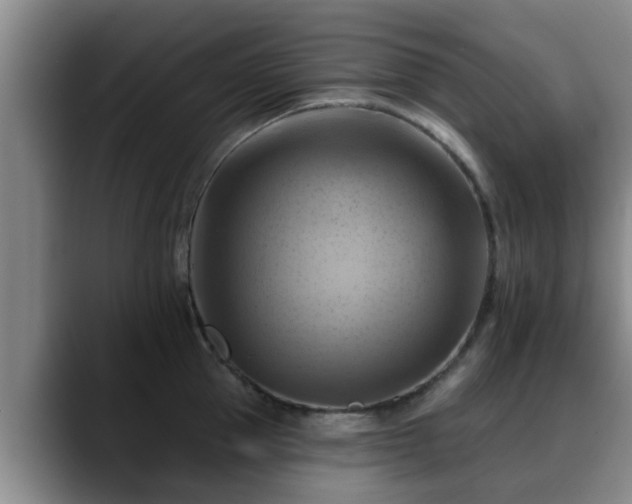 X0000088830953200706141518