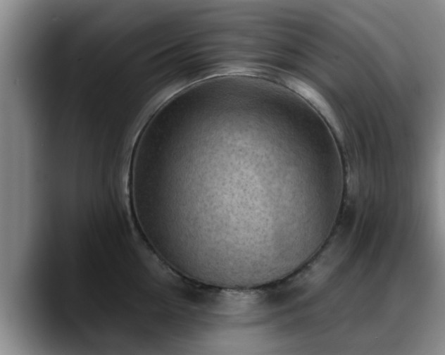 X0000088830954200706141518