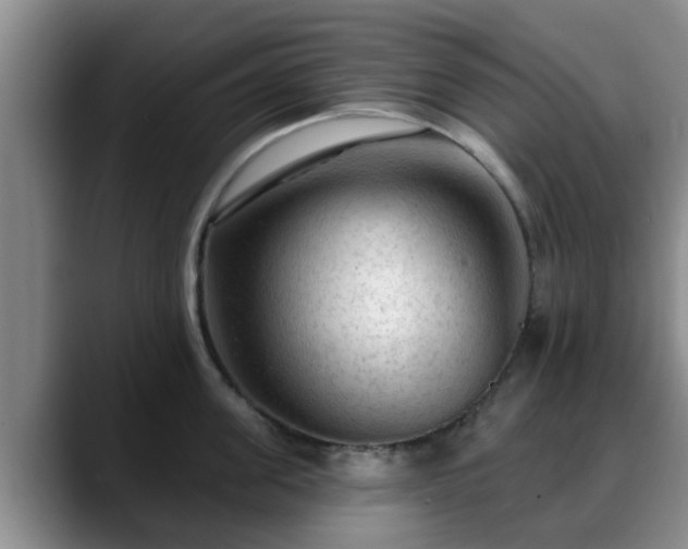 X0000088830955200706141518