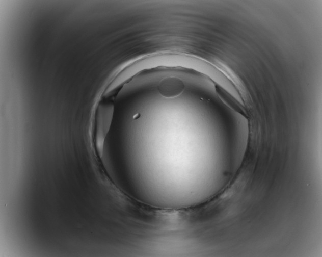 X0000088830956200706141518