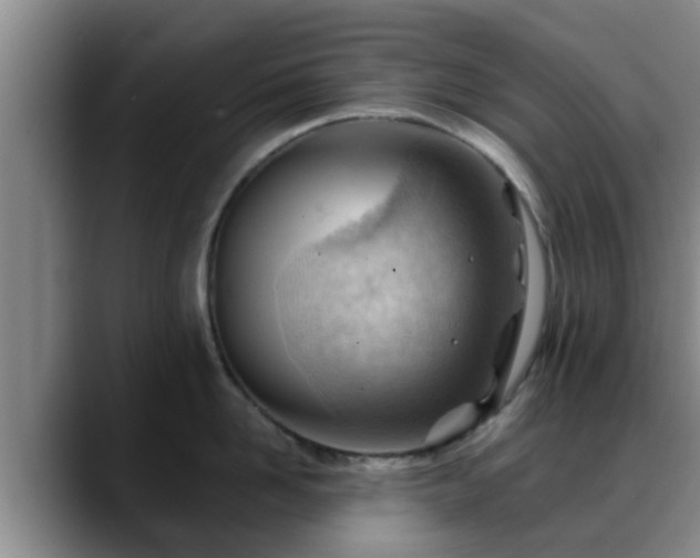 X0000088830958200706141518